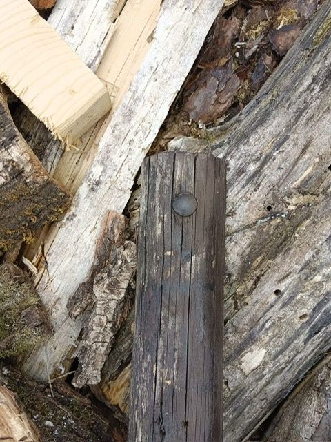 Eine Ansammlung von verwitterten Holzstücken, einige mit einem Nagel, liegen auf dem Boden.