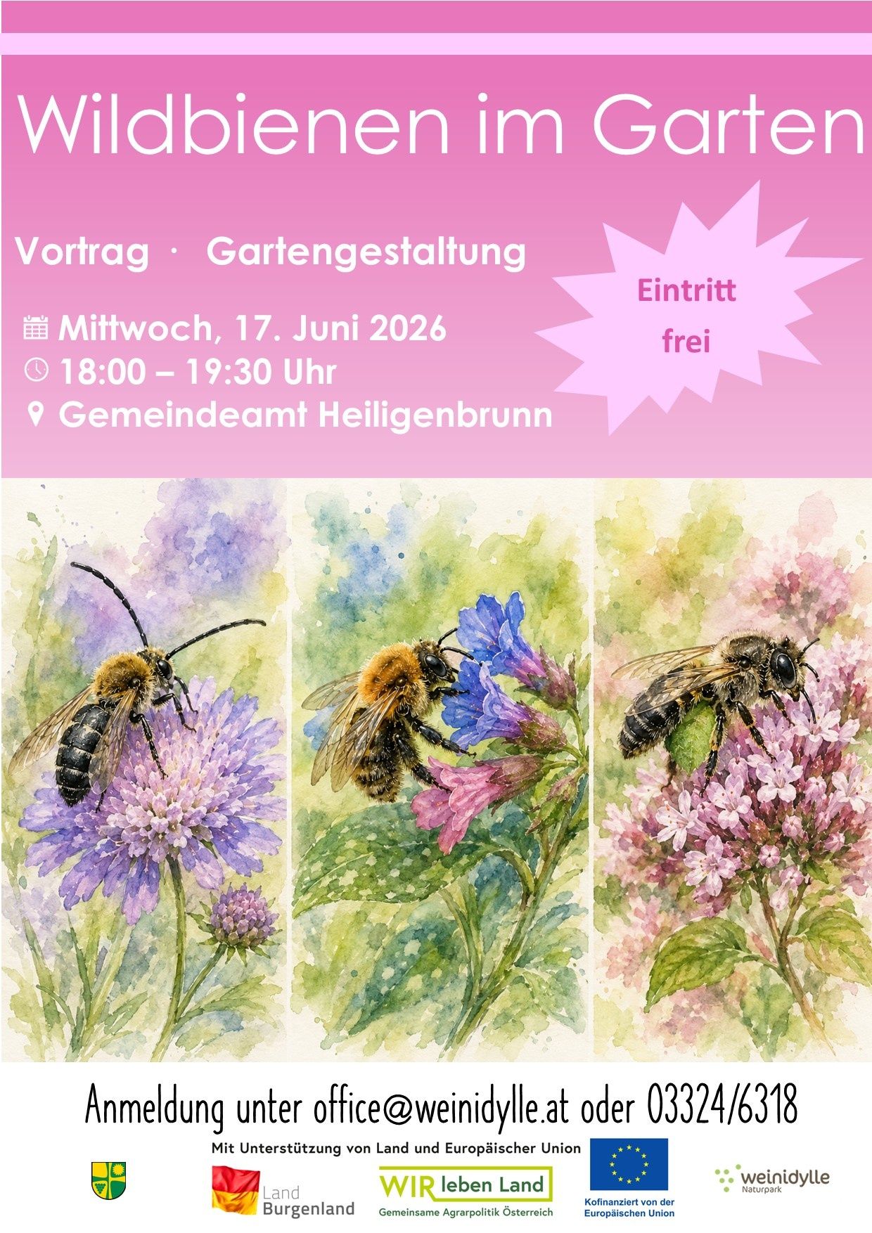 Three watercolor paintings of bees on flowers. Event details: Wednesday, June 17, 2026, 18:00 - 19:30 at Gemeindeamt Heiligenbrunn. Free entry.