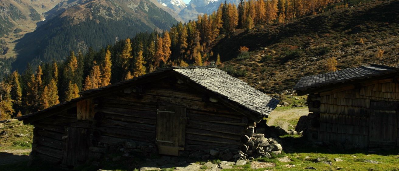 Bild enthält, Countryside, Hut, Nature, Outdoors, Rural, Shelter, Shack, Tree, Fir, Housing