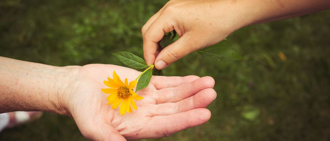 Ein Kind hält eine gelbe Blume mit grünen Blättern in der Hand und bietet sie einem Erwachsenen an. Der Hintergrund ist ein unscharfer grüner Rasen.