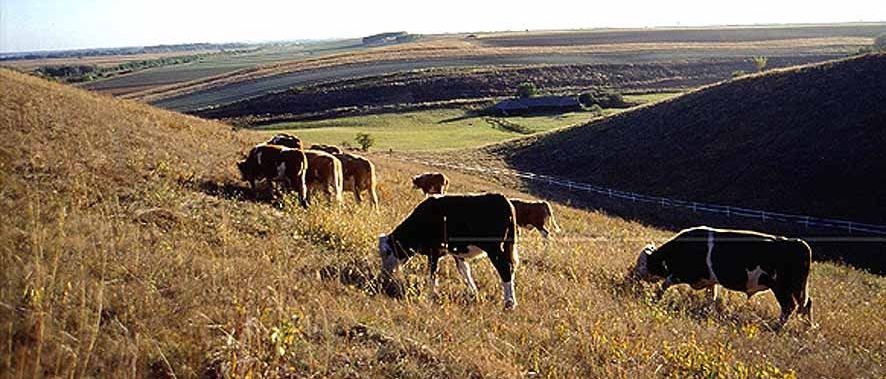 v1_migrated_image_77464594