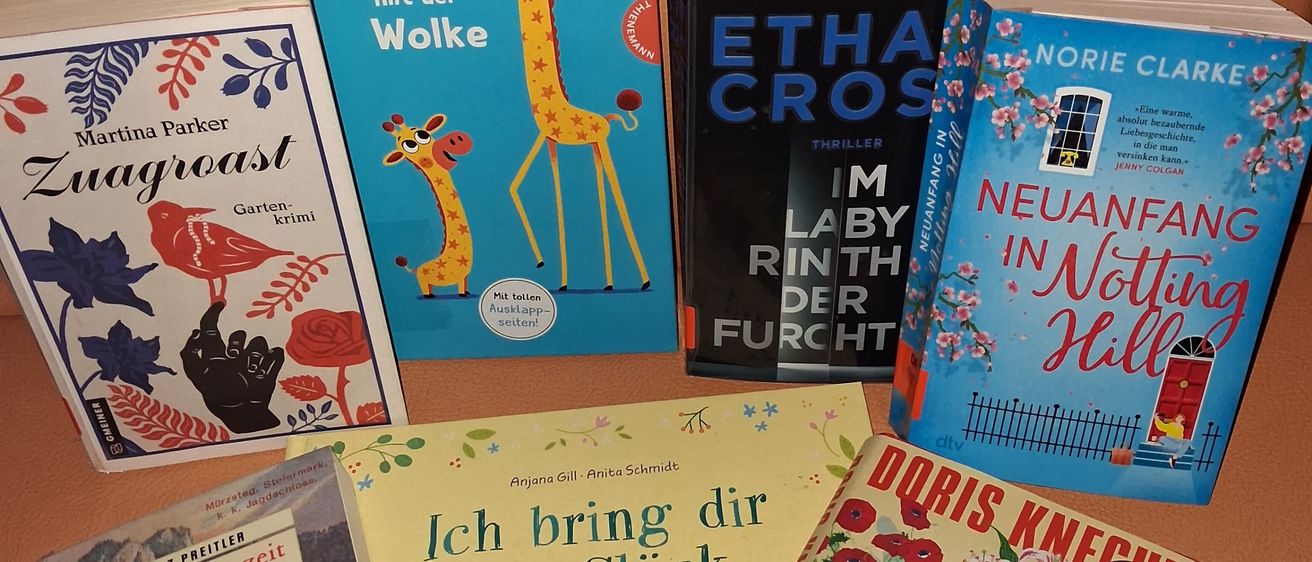Eine Sammlung von Büchern mit Titeln auf Deutsch, darunter eins mit dem Titel "Tilli & Lilli" und ein anderes mit dem Titel "Zuagroast". Die Bücher haben verschiedene Farben und Designs, auf einer braunen Oberfläche platziert.
