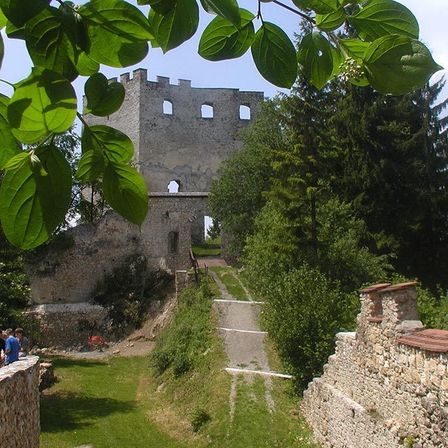 Eine alte Steinburg mit vielen Fenstern und einem Weg, der dazu führt, umgeben von üppigem Grün.