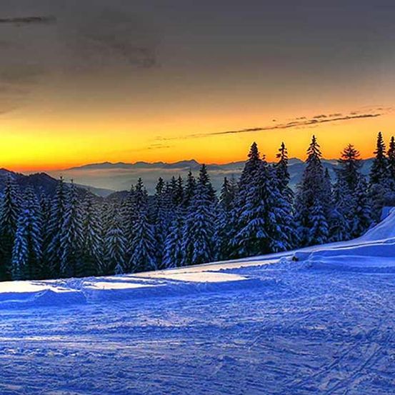 Sonnenuntergang über einer verschneiten Landschaft mit immergrünen Bäumen, Bergen im Hintergrund und einem klaren blauen Himmel.