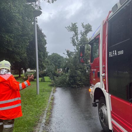 Bild enthält, Person, Worker, Transportation, Truck, Vehicle, Adult, Male, Man, Utility Pole