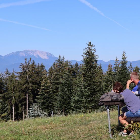 Zwei Personen sitzen auf einer Bank in einem Grasfeld mit Kiefern und überblicken eine entfernte Bergkette unter einem klaren blauen Himmel.