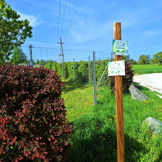 Ein Holzpfosten mit zwei grünen und weißen Schildern, die einen Weg anzeigen, in einem grünen Feld mit einem Busch und Strommasten im Hintergrund.