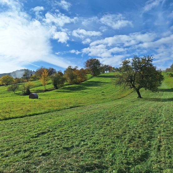 Eine friedliche Landschaft mit einem sanften grünen Hügel, einigen Bäumen und einem Heuballen unter einem teilweise bewölkten Himmel.