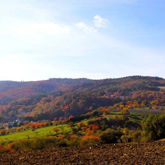 Ein Panoramablick auf eine hügelige Landschaft mit einer Mischung aus grünen und herbstlich gefärbten Bäumen, einem klaren blauen Himmel mit einigen Wolken.