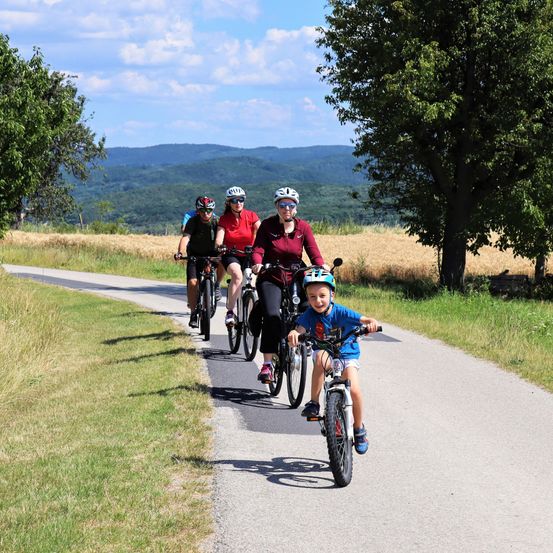 Eine Familie fährt mit Fahrrädern auf einem asphaltierten Weg mit Grasflächen auf beiden Seiten, Berge im Hintergrund.