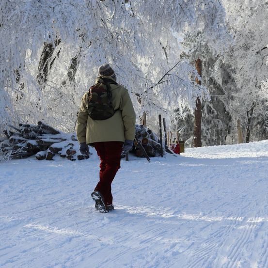 Eine Person geht im Schnee mit einem Rucksack, Winterkleidung und Handschuhen. Schneebedeckte Bäume umgeben sie, mit Holzstämmen und einem Pfahl in der Nähe.