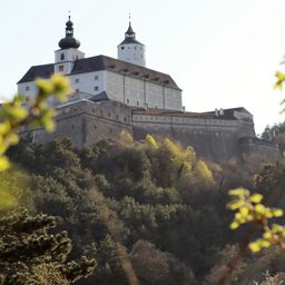 Eine große Burg mit zwei Türmen und vielen Fenstern steht auf einem Hügel, umgeben von Bäumen.