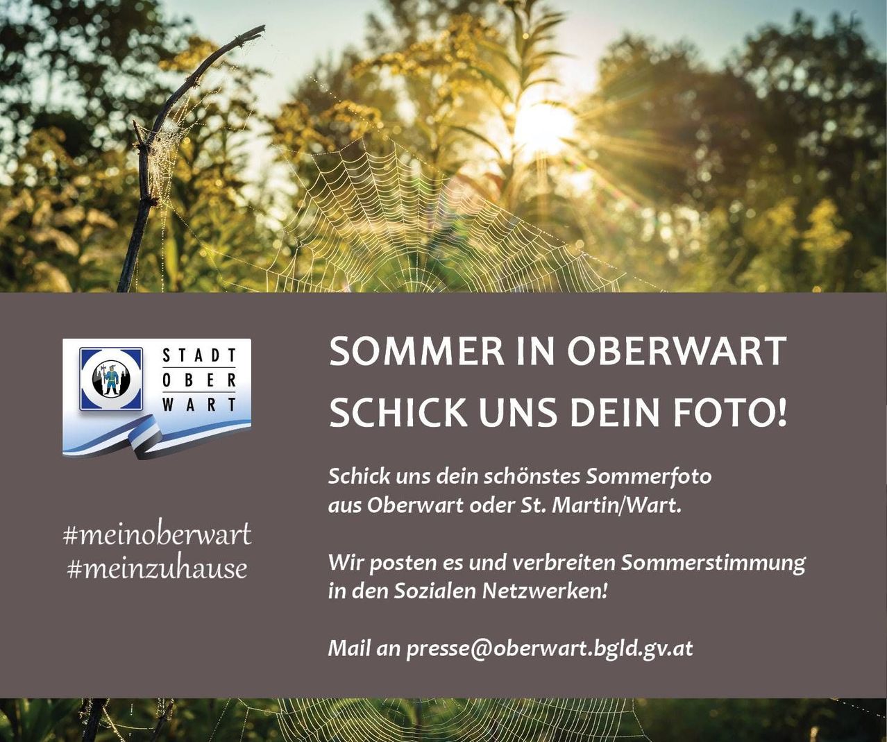 v1_migrated_image_78319054