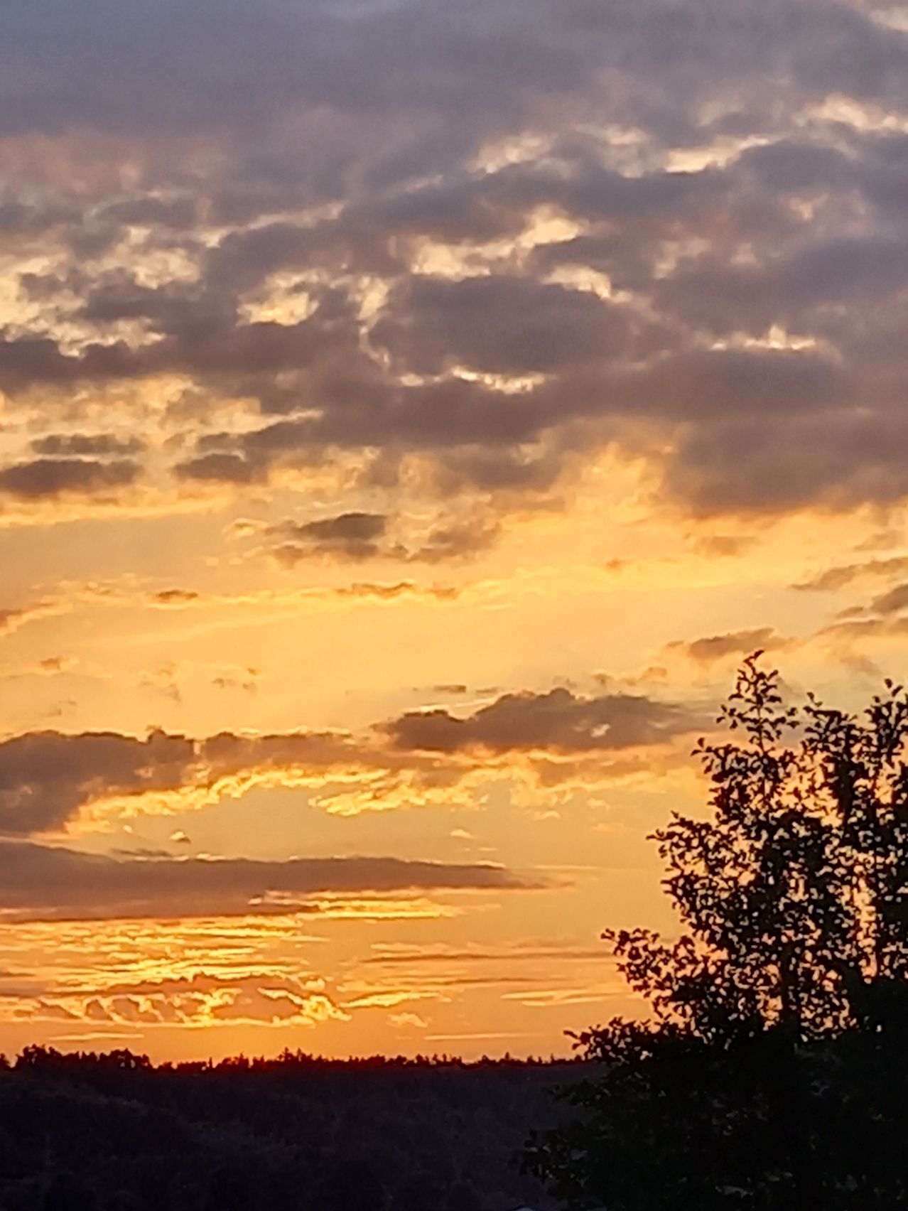 Bild enthält, Nature, Outdoors, Sky, Sunset, Sunlight, Sunrise, Silhouette, Cloud