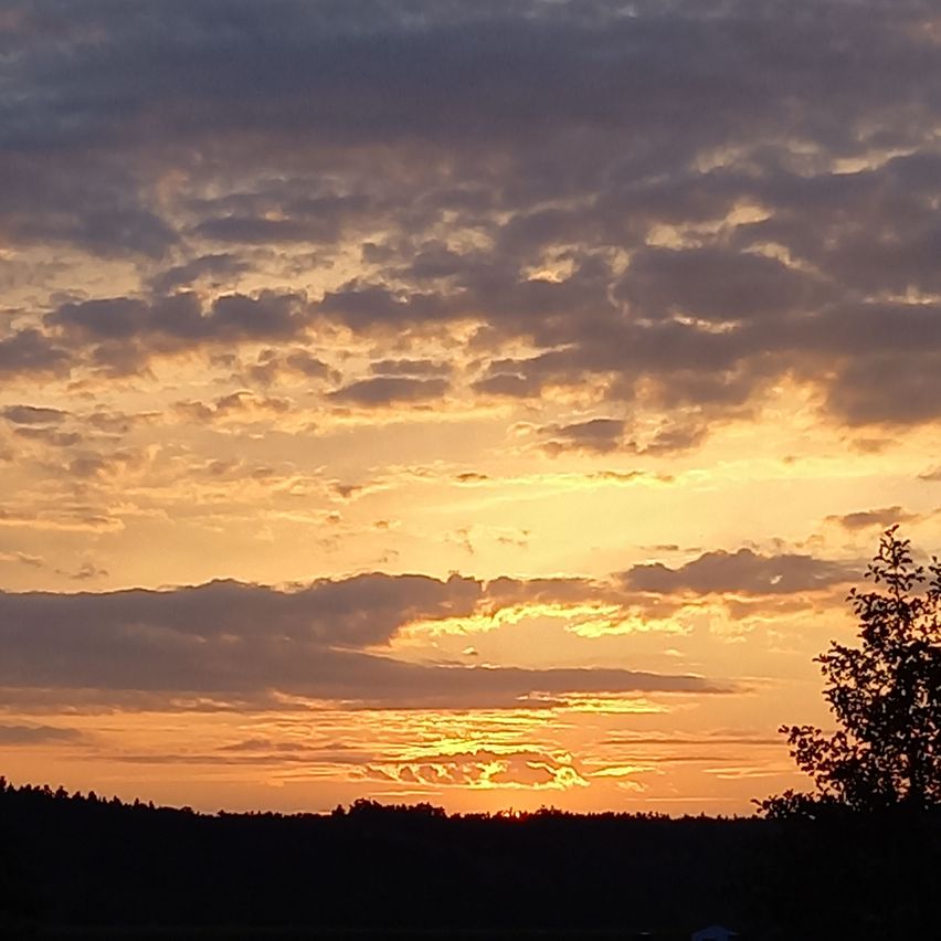 Bild enthält, Nature, Outdoors, Sky, Sunset, Sunlight, Sunrise, Silhouette