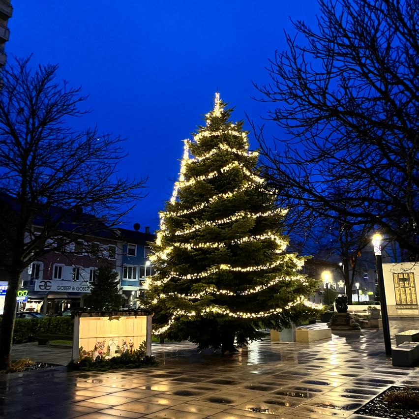 Ein mit weißen Lichtern geschmückter Weihnachtsbaum steht nachts auf einem Stadtplatz. Der Baum ist von kahlen Bäumen und einem Gebäude mit einem Schild umgeben. Der Boden ist nass.