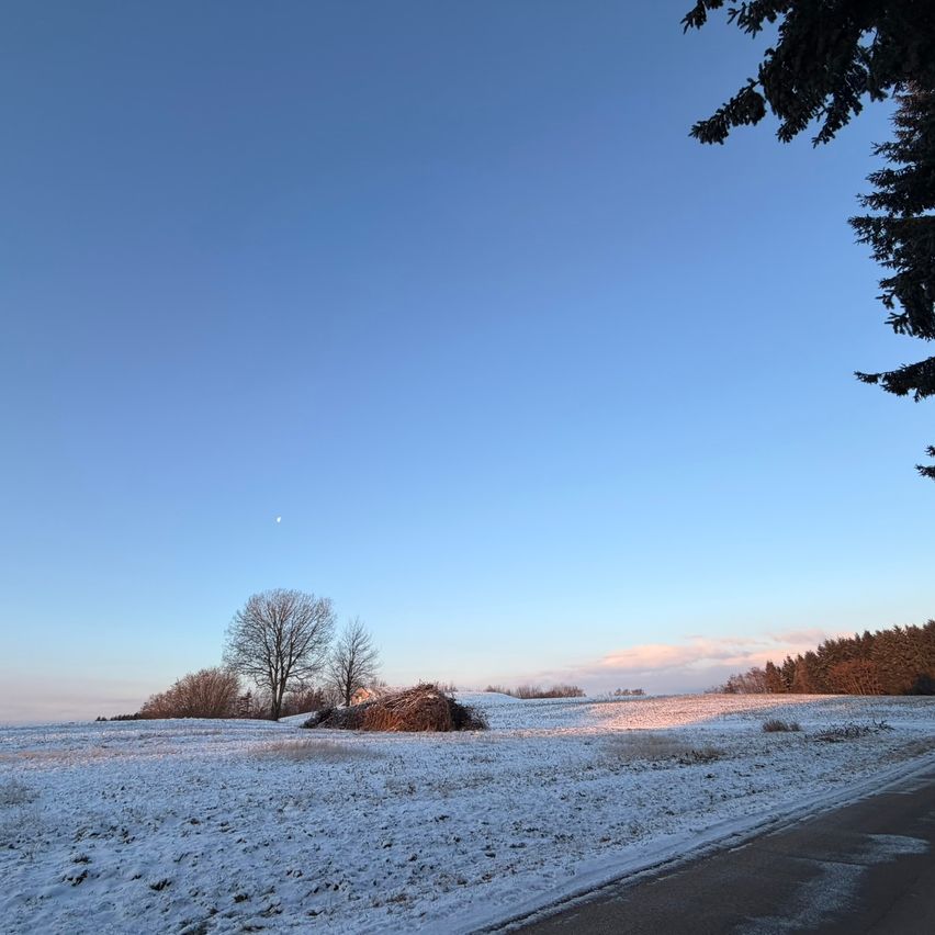Eine verschneite Landschaft mit einem Halbmond am Himmel. Bäume und Büsche sind sichtbar. Der Boden ist mit Schnee bedeckt, und eine Straße auf der rechten Seite ist teilweise bedeckt.
