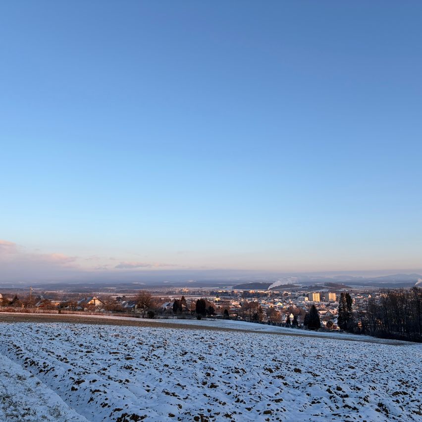 Eine verschneite Landschaft mit klarem blauem Himmel und einer kleinen Stadt in der Ferne. Bäume und Häuser säumen den Vordergrund.