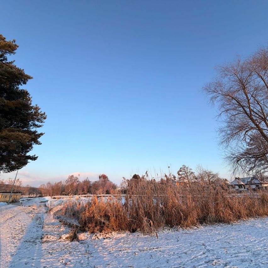 Eine verschneite Landschaft mit kahlen Bäumen und einem Haus in der Ferne. Der Himmel ist klar und blau, und der Schnee bedeckt den Boden.