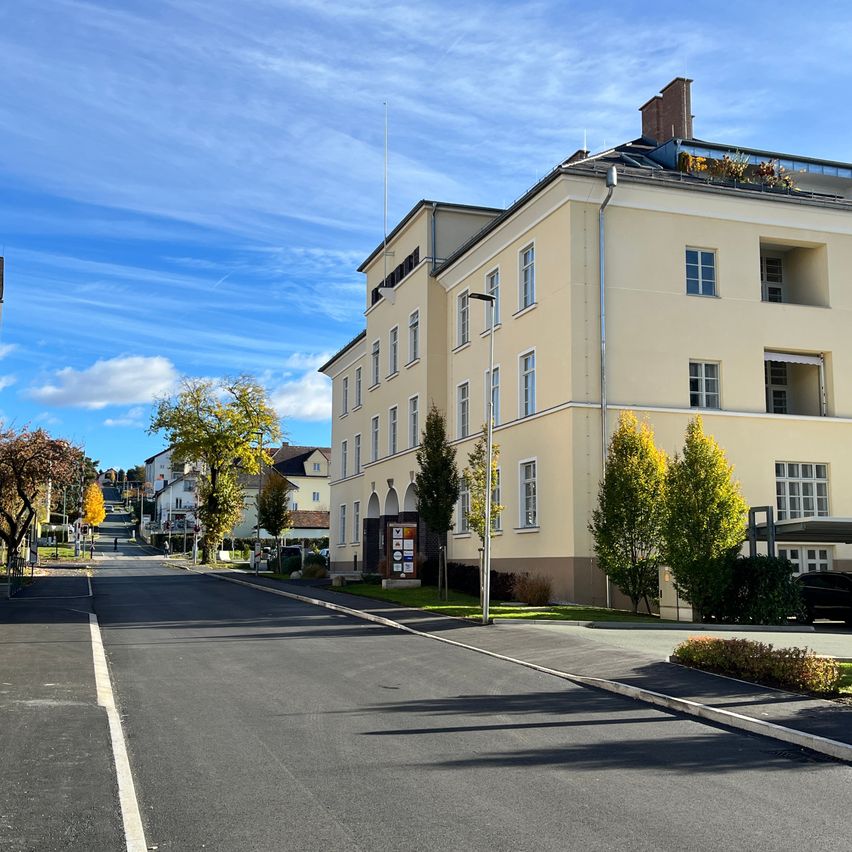 Eine leere Straße vor einem großen Gebäude mit vielen Fenstern. Es gibt Bäume und Büsche auf beiden Seiten der Straße. Der Himmel ist blau mit einigen Wolken.
