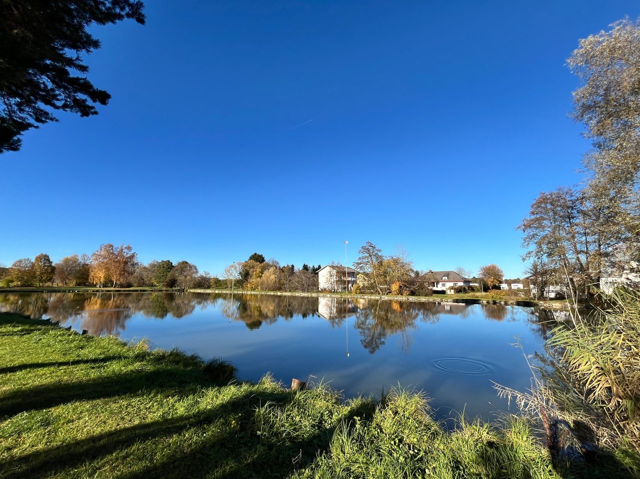 Ein friedlicher See umgeben von üppigem Grün, der einen klaren blauen Himmel und entfernte Häuser unter einem Herbstsonnenschein widerspiegelt.