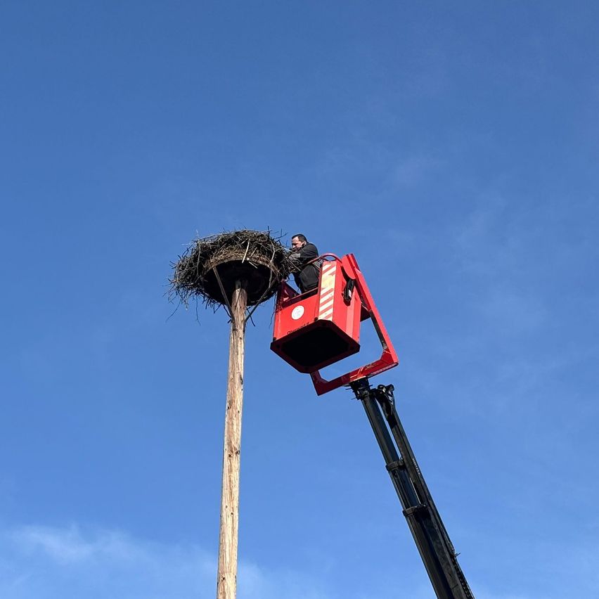 Eine Person in einem roten Korblift steht in der Nähe eines großen Nestes auf einem hohen Mast unter einem klaren blauen Himmel.