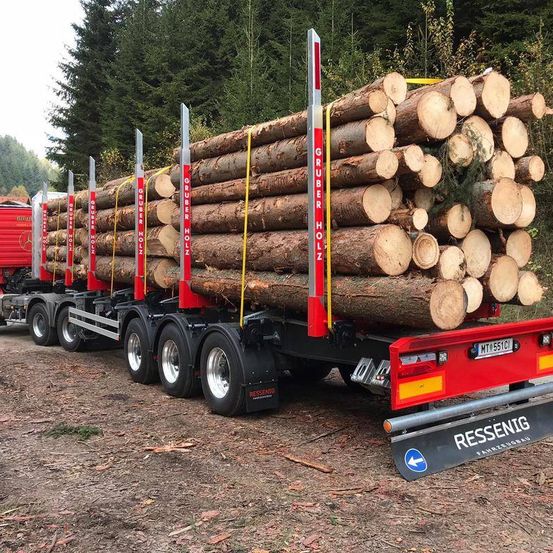 Ein großer Anhänger mit Baumstämmen, beschriftet mit Gruber Holz, geparkt auf einer Straße mit Bäumen im Hintergrund. Der Anhänger hat ein rotes und schwarzes Design und ist an einen roten LKW angeschlossen.