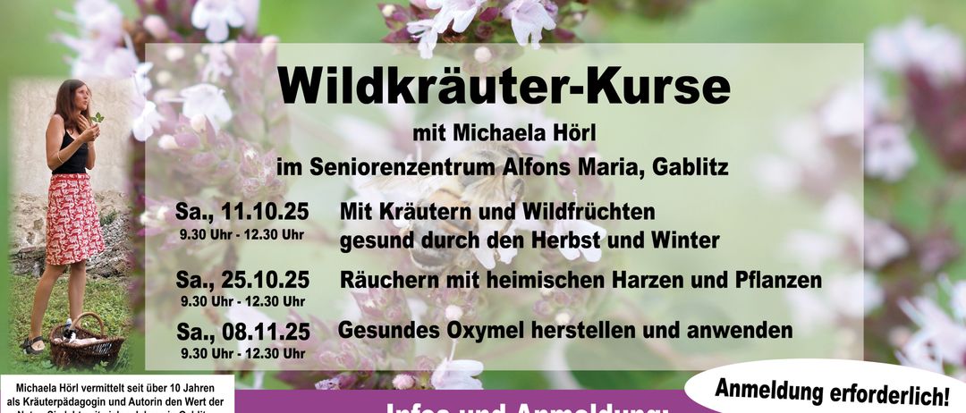 Eine Anzeige für einen Wildkräuter-Kurs mit Michaela Hörl, mit Terminen und Aktivitäten, einschließlich Kräutertees und Wildfrüchten, Rauchen mit heimischen Kräutern und Herstellung von gesundem Sauerstoff.