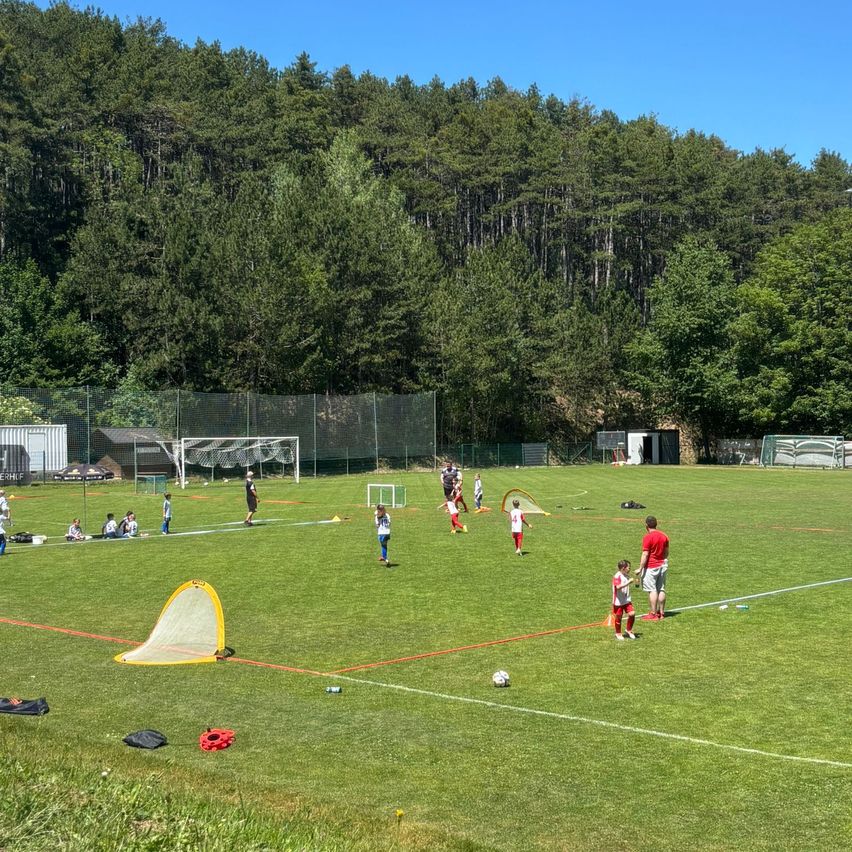 A group of children are playing soccer on a field with a goal. The field is surrounded by trees and a fence. Some children are standing near the goal while others are playing.