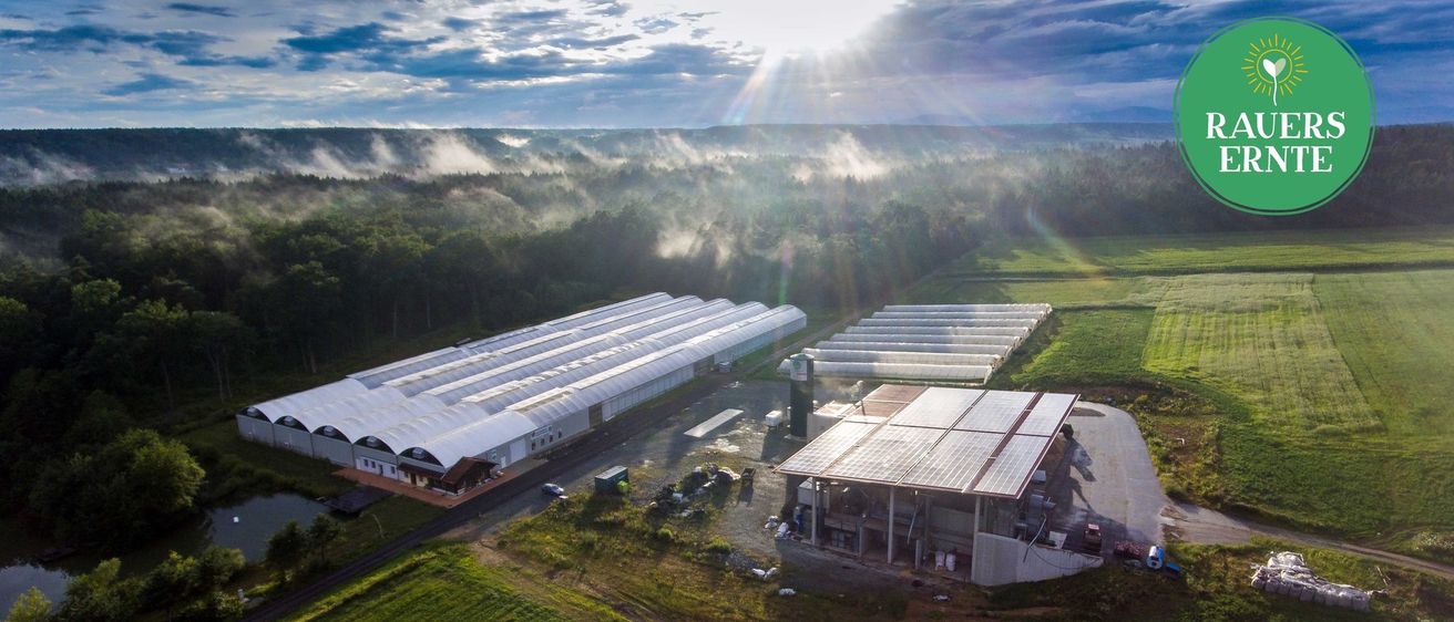 Bild enthält, Outdoors, Building, Nature, Countryside, Sky, Rural, Farm, Land, Person, Grass