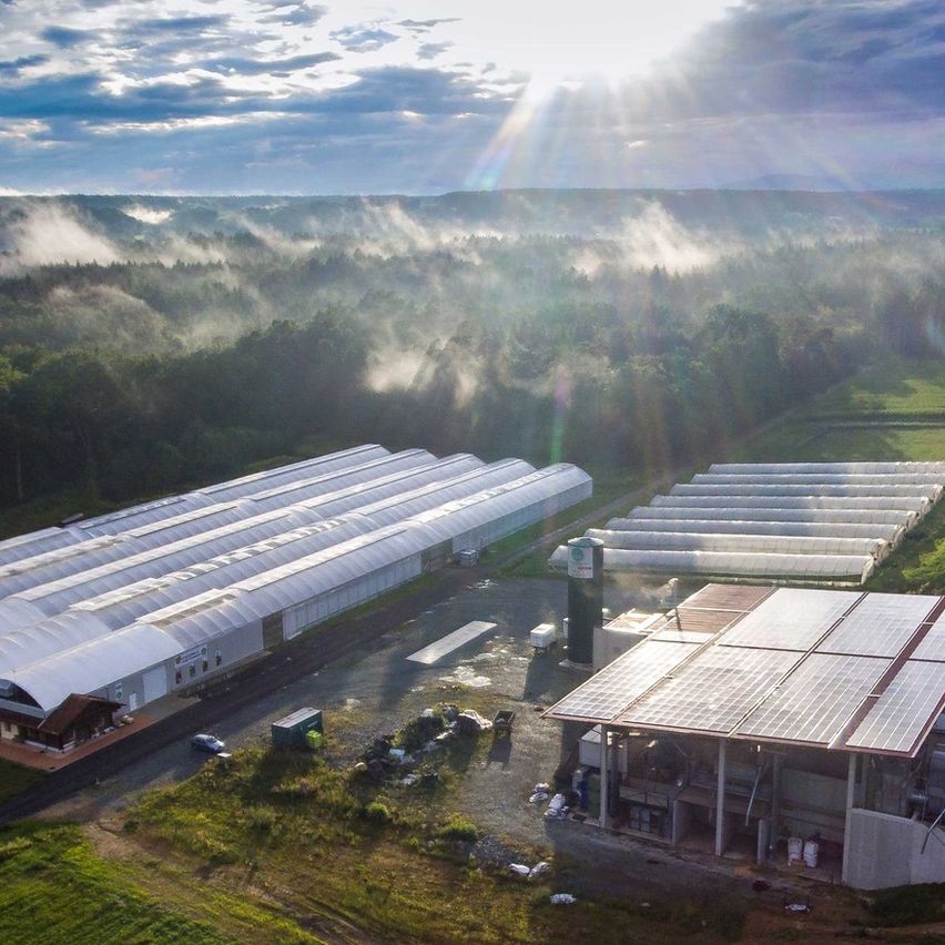 Bild enthält, Outdoors, Building, Nature, Countryside, Sky, Rural, Farm, Land, Person, Grass