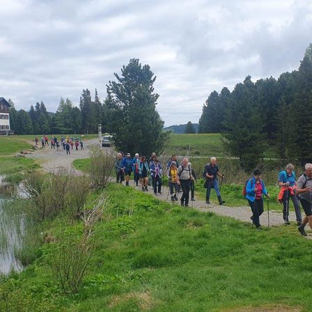 Bild enthält, Nature, Outdoors, Scenery, Person, Walking, Shelter, Grass, Path, Park, Pond