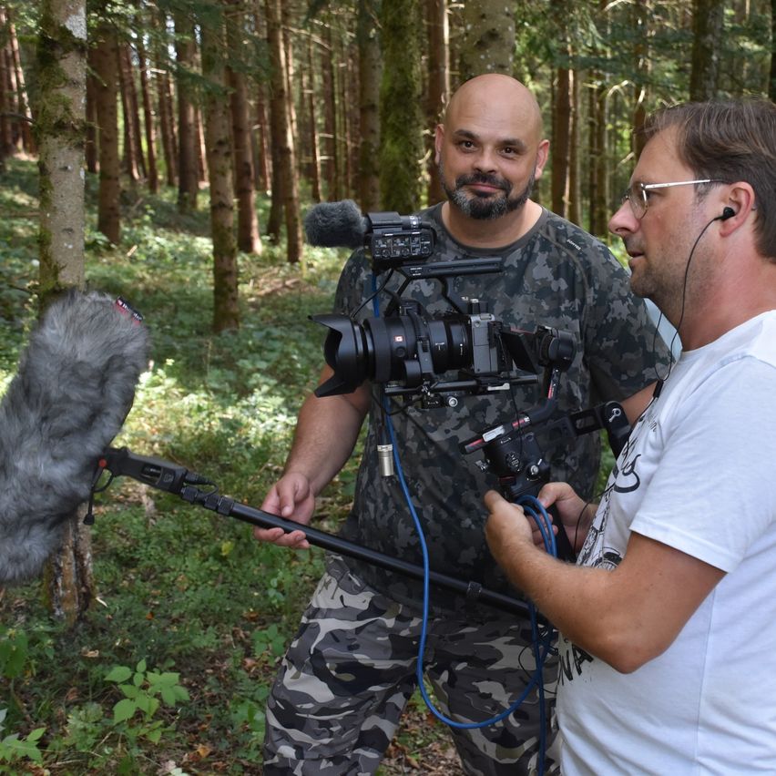 Bild enthält, Vegetation, Video Camera, Tree, Woodland, Photography, Jungle, Person, Photographer, Adult, Man