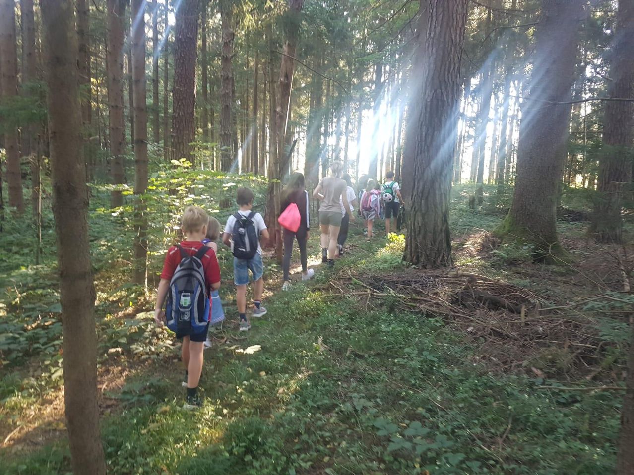 Eine Gruppe von Menschen, einschließlich Kindern, wandert in einem Wald, wo das Sonnenlicht das Gebiet beleuchtet. Sie gehen auf einem schmalen Pfad, umgeben von hohen Bäumen.