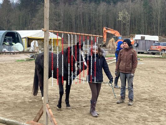 Bild enthält, Andalusian Horse, Adult, Male, Man, Person, Jeans, Outdoors, Hoodie, Girl, Teen