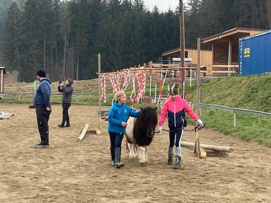 Bild enthält, Bull, Adult, Female, Person, Woman, Outdoors, Cattle, Livestock, Countryside, Nature