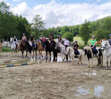 Bild enthält, Person, Animal, Horse, Horseback Riding, Leisure Activities, Mammal, Car, Transportation, Vehicle, Helmet