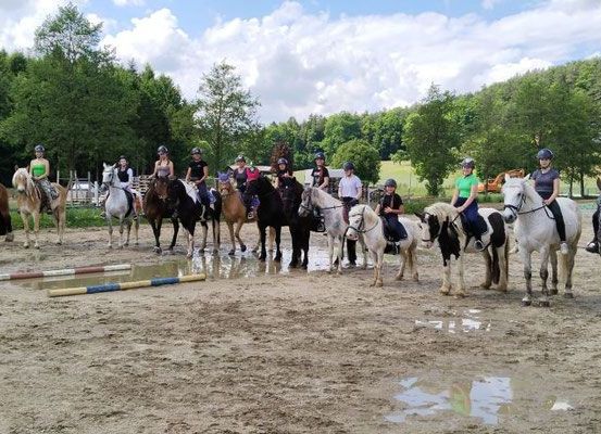 Bild enthält, Person, Animal, Horse, Horseback Riding, Leisure Activities, Mammal, Car, Transportation, Vehicle, Helmet