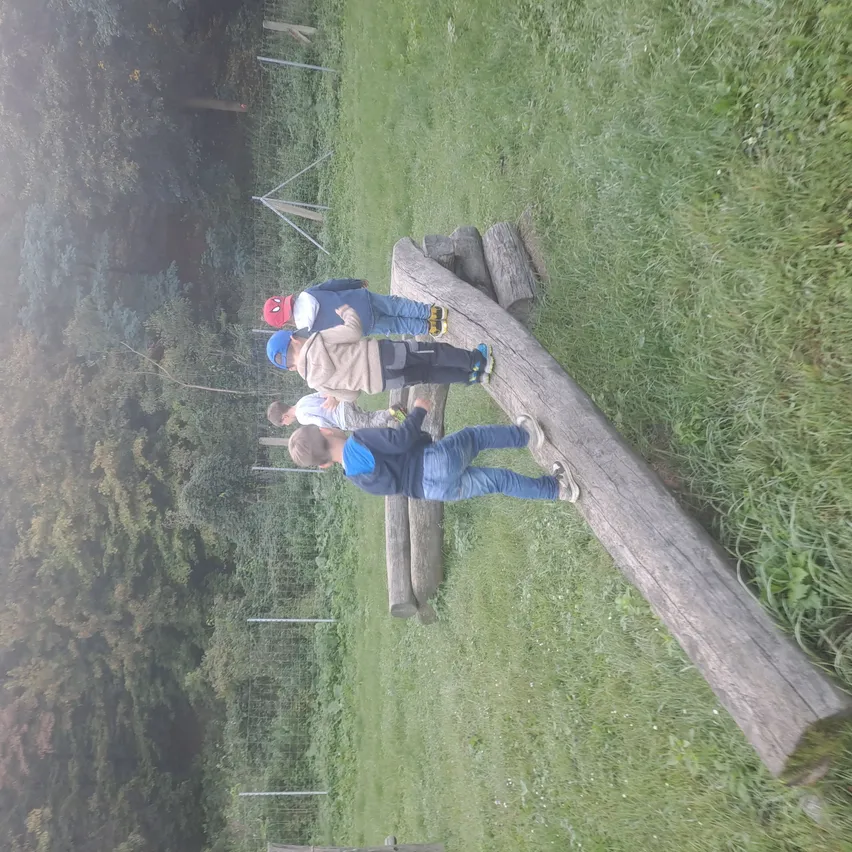 Vier Kinder klettern auf einem großen Baumstamm in einem Grasbereich mit Bäumen im Hintergrund. Sie tragen Mützen und Turnschuhe.