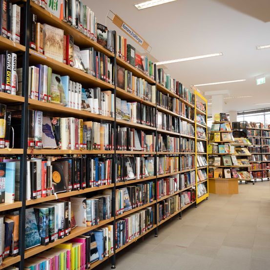 Bild enthält, Furniture, Bookcase, Book, Indoors, Library, Publication, Person, Shop