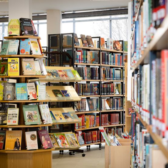 Bild enthält, Book, Publication, Furniture, Person, Indoors, Library, Shop, Bookcase, Box
