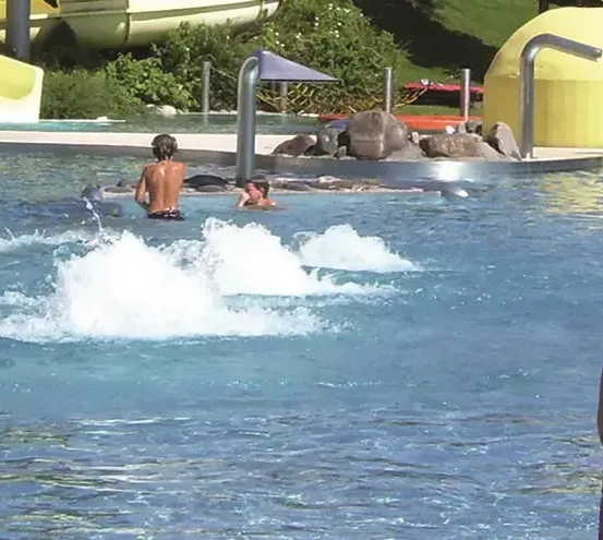 Mehrere Menschen schwimmen und planschen in einem Pool mit Wasserspiel. Ein Wasserrutsche ist im Hintergrund.