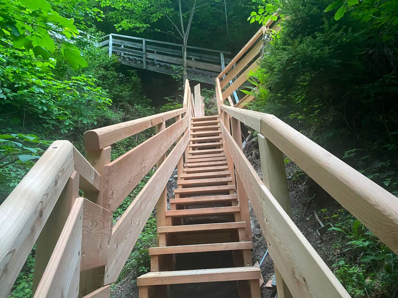 Holzstufen mit Geländern führen einen Hang hinauf, umgeben von üppigem Grün und einer Holzbrücke im Hintergrund.