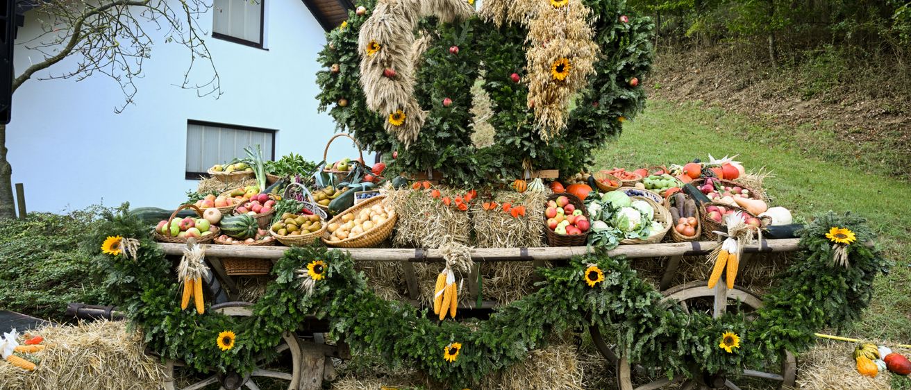 Bild enthält, Countryside, Nature, Outdoors, Straw, Wheel, Flower Arrangement, Flower Bouquet, Produce, Squash, Pumpkin