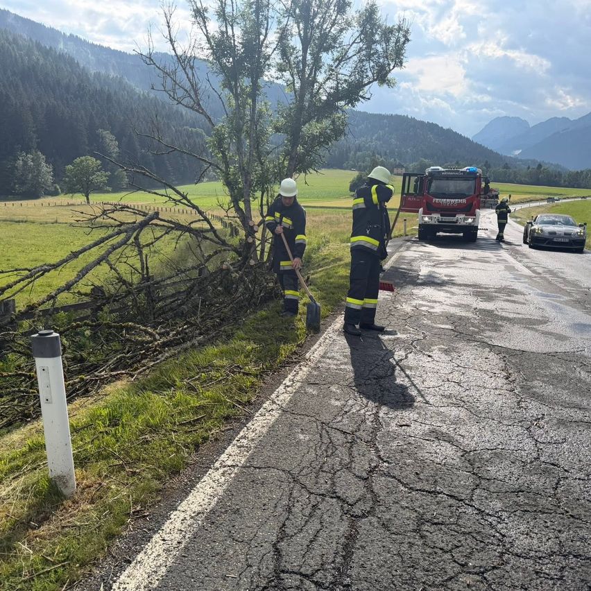 Firefighters are removing branches from the road, with a fire truck and a car in the background, in a rural area with mountains.