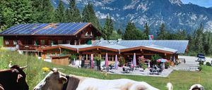 Zwei Kühe liegen im Gras vor einem Chalet mit Solarpanels auf dem Dach, umgeben von Bergen und Bäumen. Tische und Stühle sind draußen mit bunten Sonnenschirmen aufgestellt.