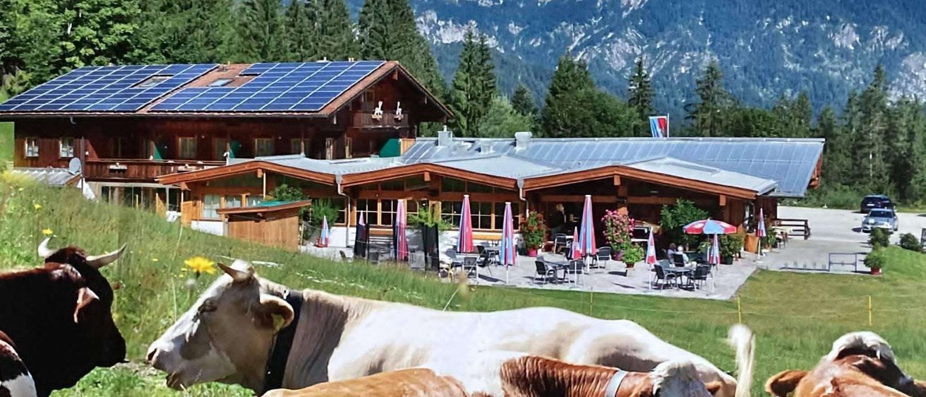 Zwei Kühe liegen auf der Wiese vor einem Gebäude mit Solarpanelen. Im Hintergrund befinden sich Berge und Bäume.