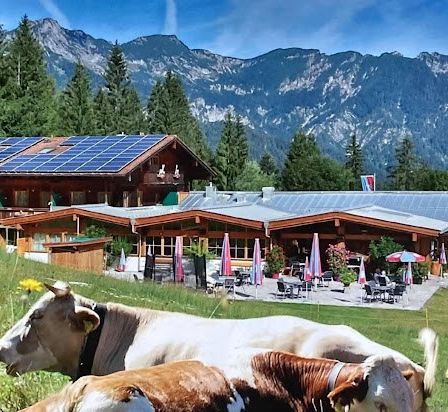 Ein großes Chalet mit Solarmodulen ist von Bäumen, Bergen und grasenden Kühen umgeben. Das Chalet verfügt über eine Terrasse mit Tischen und Stühlen.