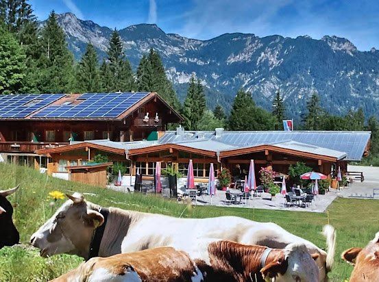 Ein großes Chalet mit Solarmodulen ist von Bäumen, Bergen und grasenden Kühen umgeben. Das Chalet verfügt über eine Terrasse mit Tischen und Stühlen.