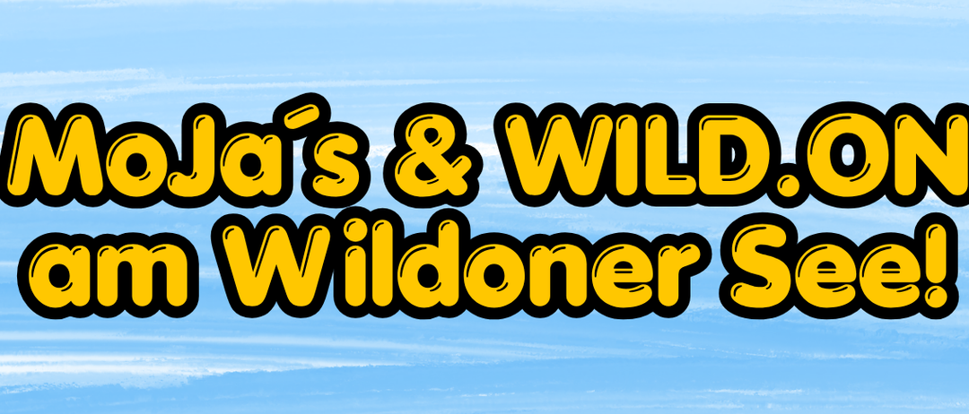 Plakat für eine Jugendveranstaltung am Wildoner See am 28. August 2026. Aktivitäten umfassen Schwimmen, Volleyball und mehr. Anmeldung erforderlich.
